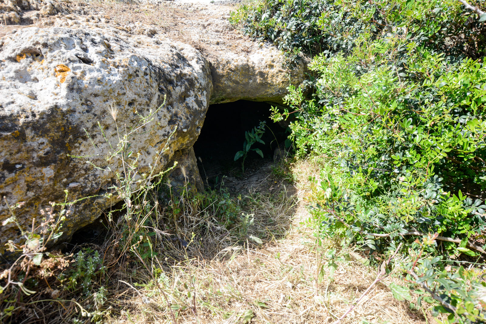 Domus de Janas di Campu Perdu